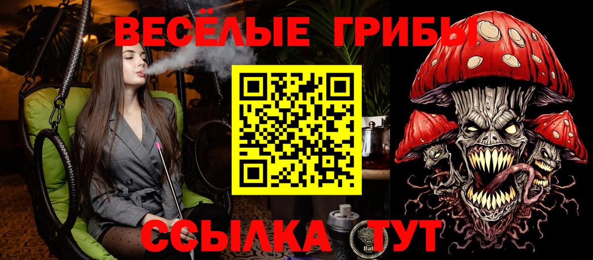 Псилоцибиновые грибы GOLDEN TEACHER Орёл