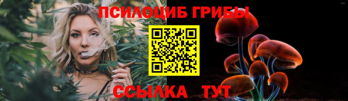 Орёл  Псилоцибиновые грибы MAGIC MUSHROOMS  Псилоцибиновые грибы GOLDEN TEACHER  Вход с VPN 